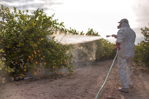 Best Pest Control Near Me  in Hartsville, TN