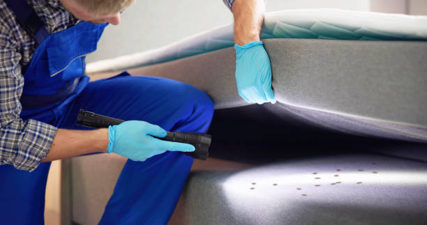 Best Best Pest Control Companies  in Hartsville, TN