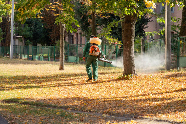 Best Local Pest Control Services  in Hartsville, TN