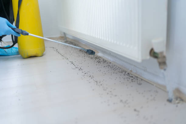 Insect Control in Hartsville, TN